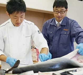 鮫の特別授業