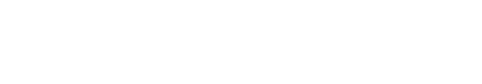 Specialized Internship